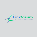 Linkvisum Logo